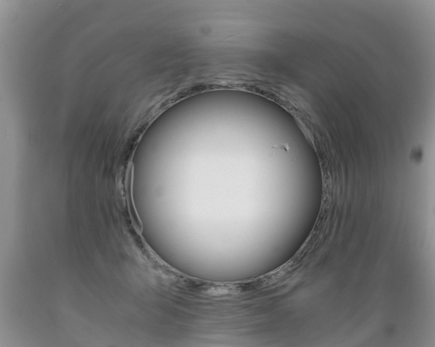 X0000089730415200706210920