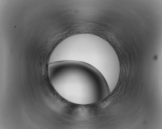 X0000089730416200706210920