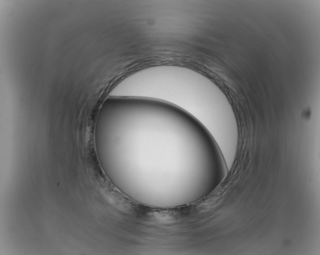 X0000089730417200706210920