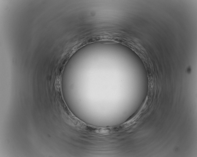 X0000089730419200706210920
