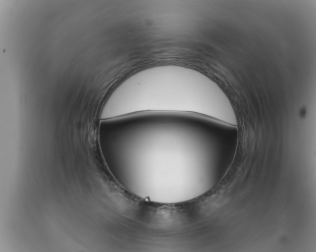 X0000089730420200706210920