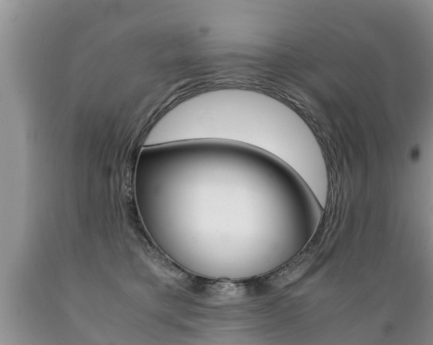 X0000089730421200706210920