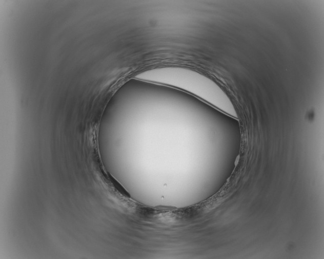 X0000089730423200706210920
