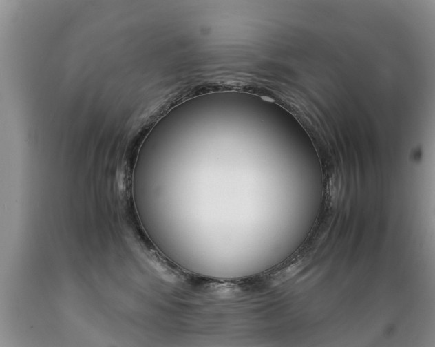 X0000089730424200706210920