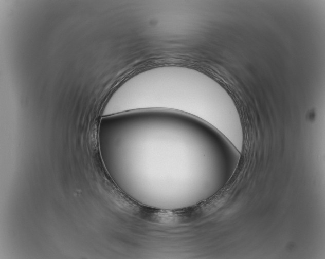 X0000089730425200706210920