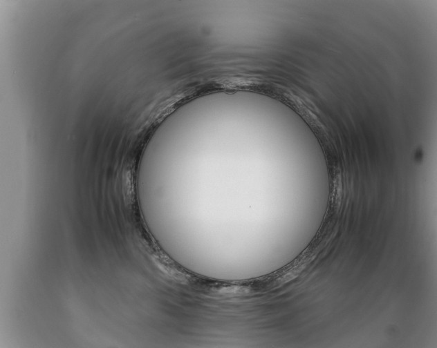 X0000089730426200706210920
