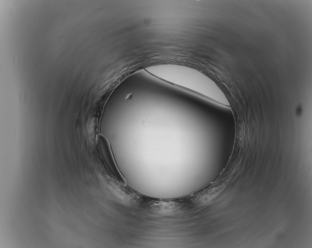 X0000089730428200706210920