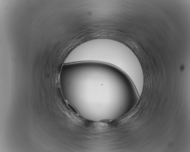 X0000089730429200706210920