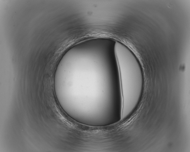 X0000089730433200706210919