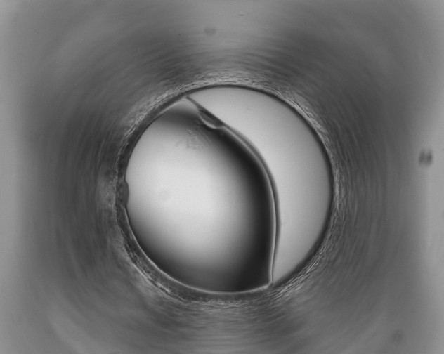 X0000089730434200706210919