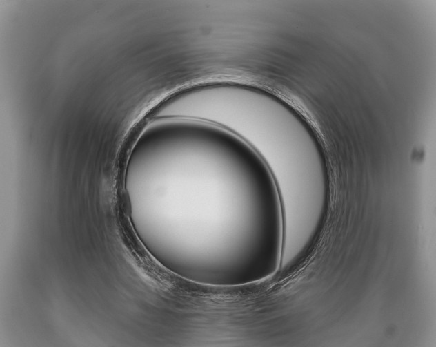 X0000089730436200706210920