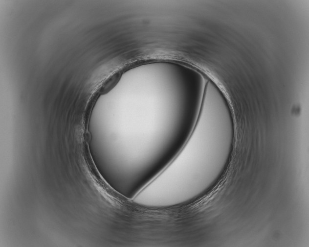 X0000089730437200706210920