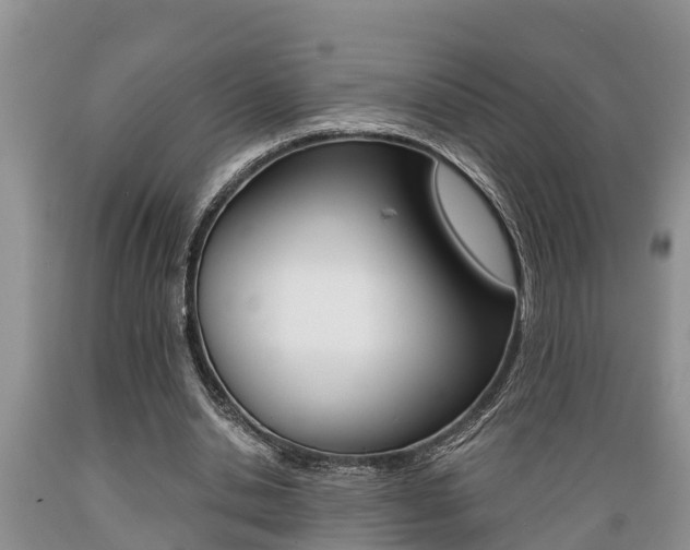 X0000089730438200706210920