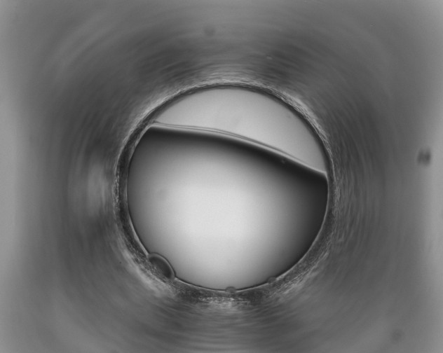 X0000089730439200706210920