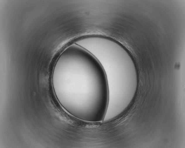 X0000089730440200706210920