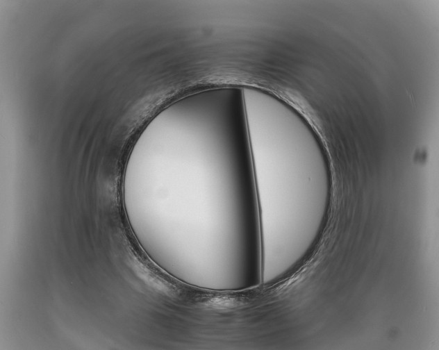 X0000089730441200706210920