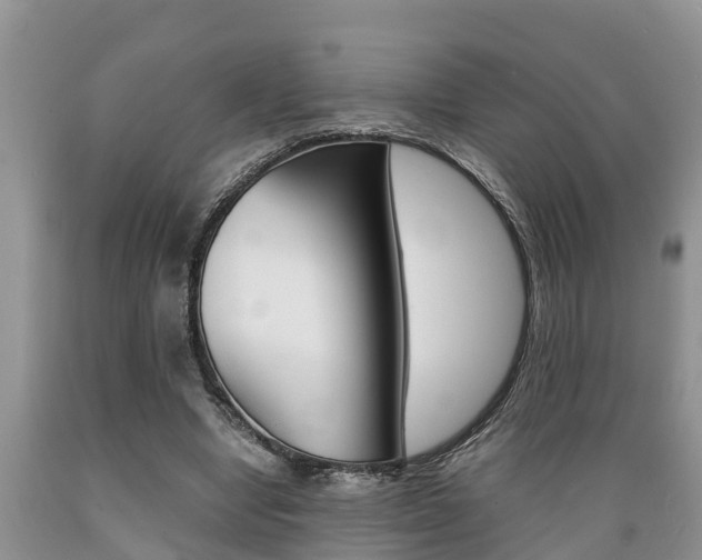 X0000089730442200706210920