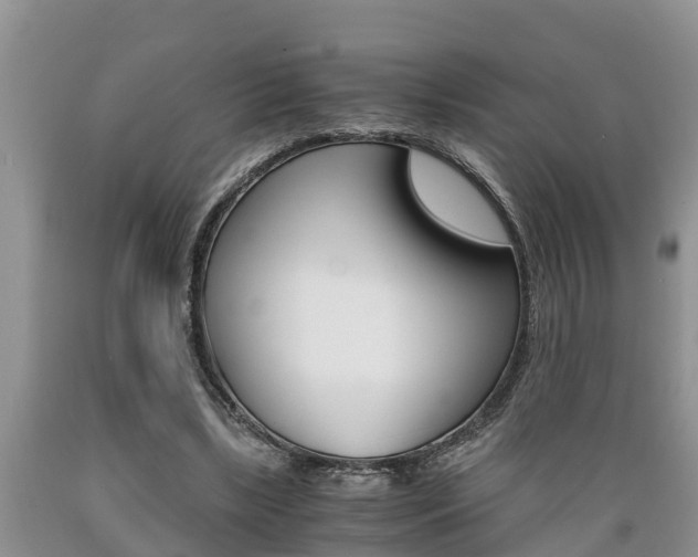 X0000089730443200706210920
