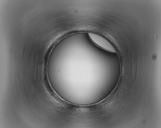 X0000089730444200706210920