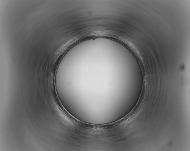X0000089730445200706210920