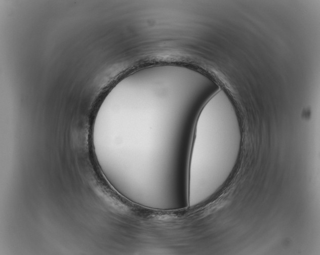 X0000089730446200706210920