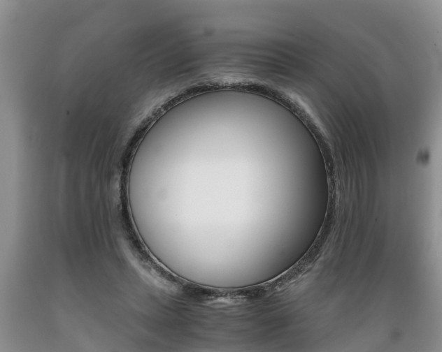 X0000089730447200706210920