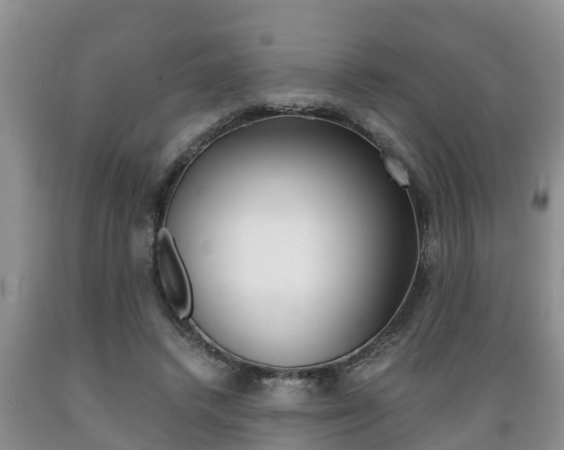 X0000089730448200706210920