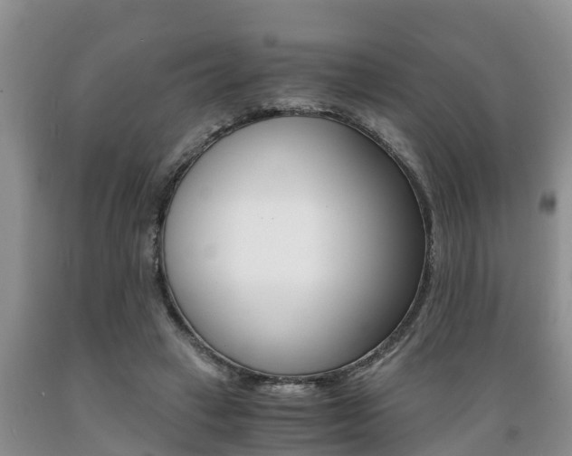 X0000089730449200706210920