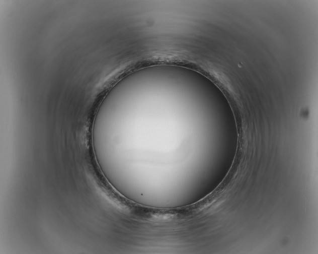 X0000089730450200706210920