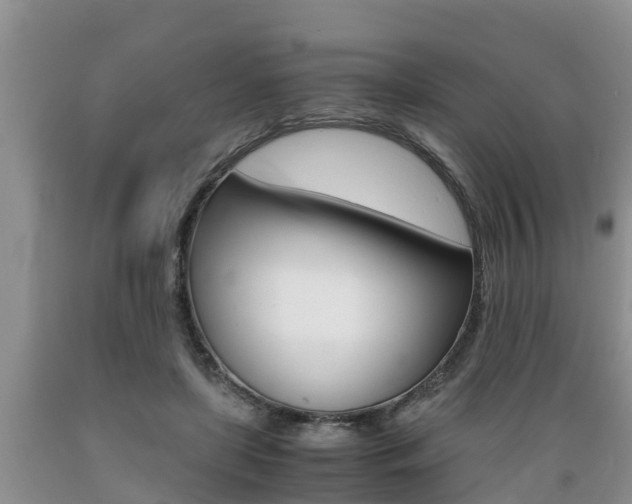 X0000089730451200706210920