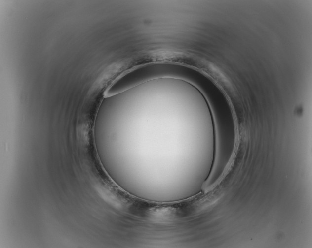 X0000089730452200706210920