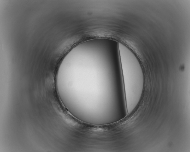 X0000089730453200706210920