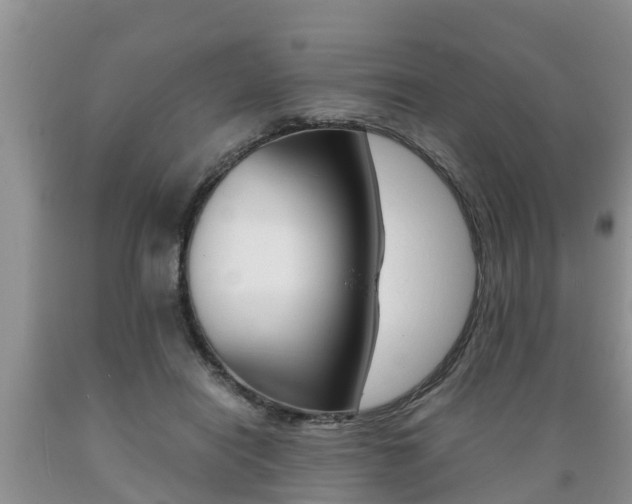 X0000089730454200706210920
