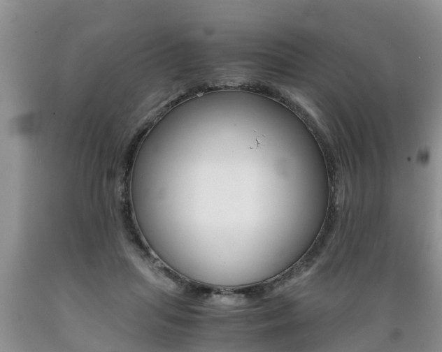 X0000089730455200706210920
