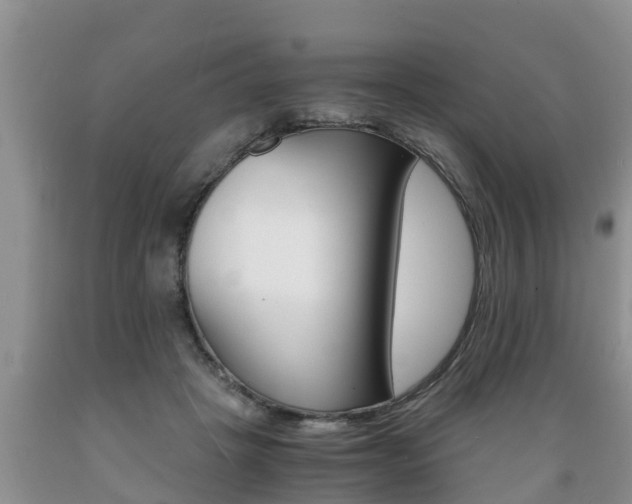 X0000089730457200706210920