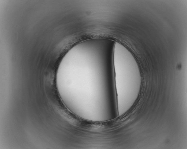 X0000089730458200706210920