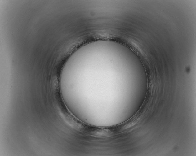 X0000089730459200706210920