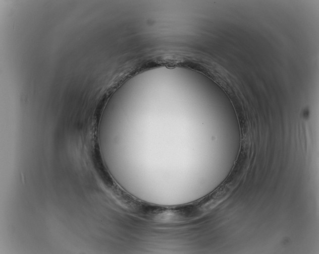 X0000089730460200706210920