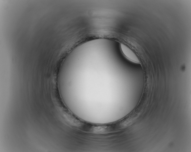 X0000089730461200706210920