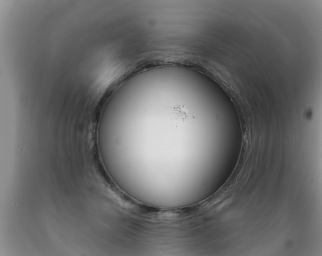 X0000089730462200706210920