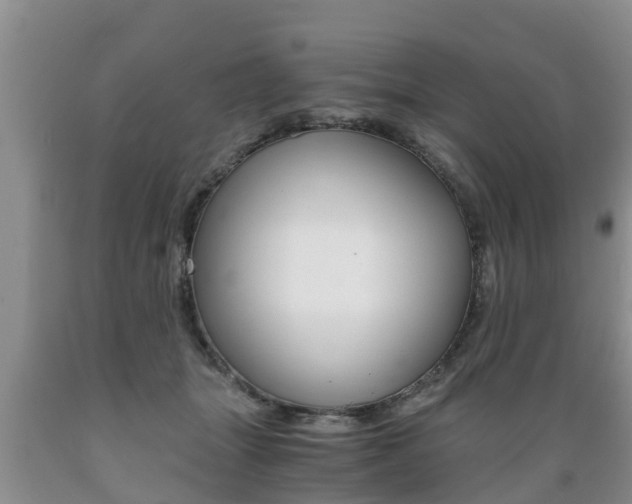 X0000089730463200706210920