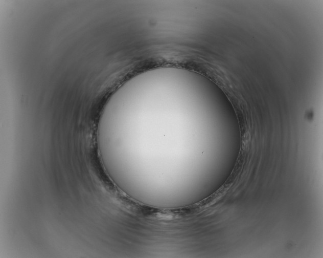 X0000089730464200706210920