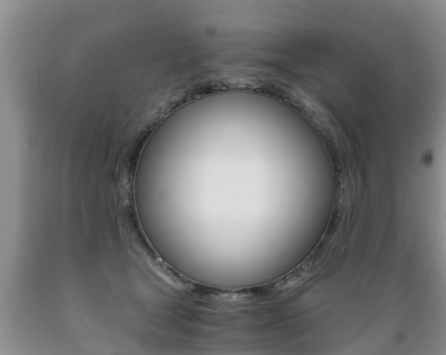 X0000089730465200706210920