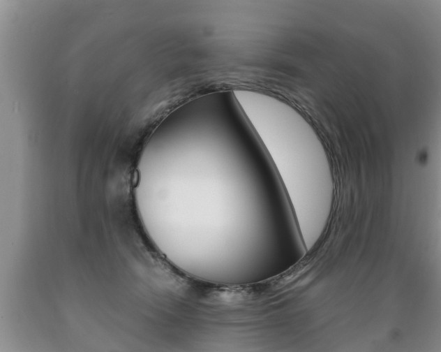 X0000089730466200706210920