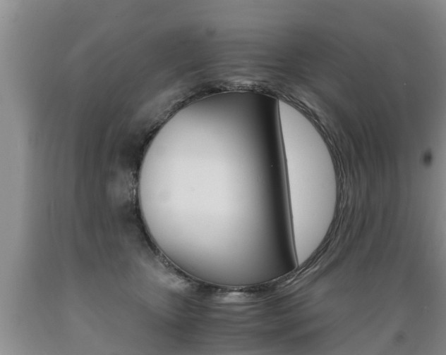 X0000089730467200706210920