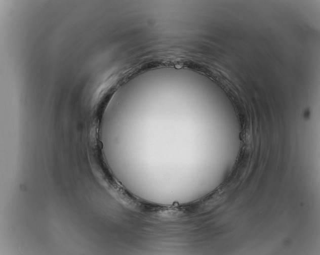 X0000089730468200706210920