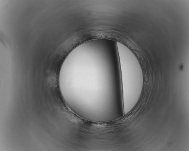X0000089730469200706210920