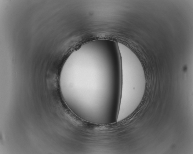 X0000089730470200706210920