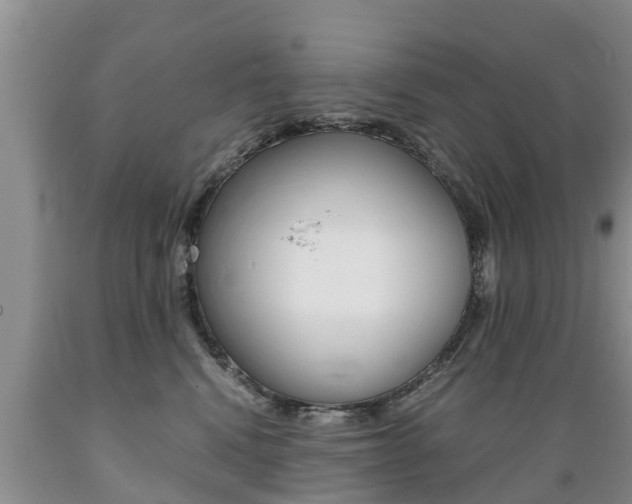 X0000089730472200706210920