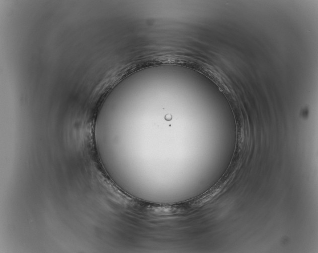 X0000089730473200706210920